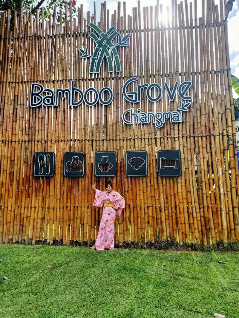 Bamboo Grove Chiang Mai 4