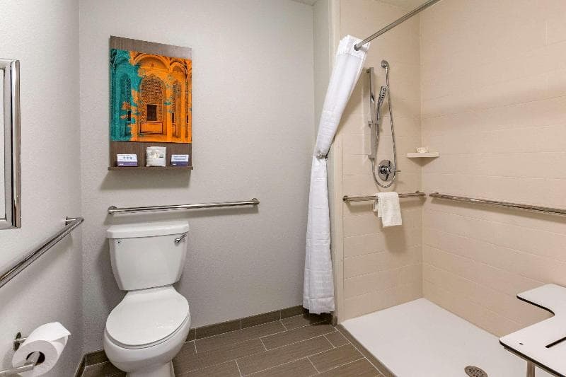 Mainstay Suites Carlsbad 5