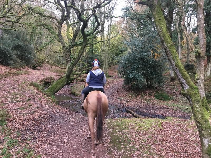 Pardlestone Farm B&B main