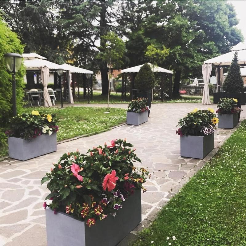 Hotel Ristorante Gallo D'oro 5