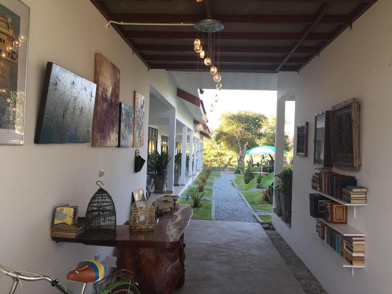 Tree Roots Retreat (Adults Only) 4