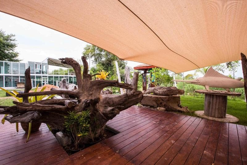 Tree Roots Retreat (Adults Only) 5