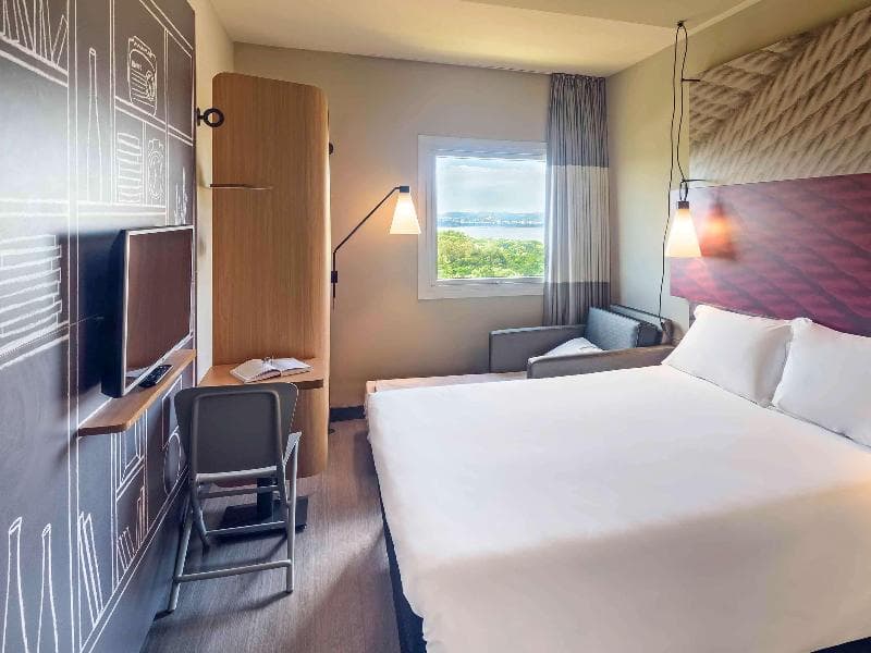 Ibis Guaiba 3