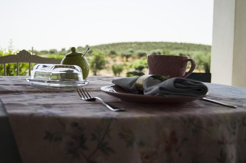 Monte Da Estrela Country House & Spa photo 1