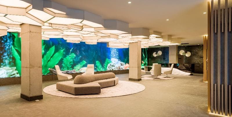 Hotel Ilunion San Mamés 5
