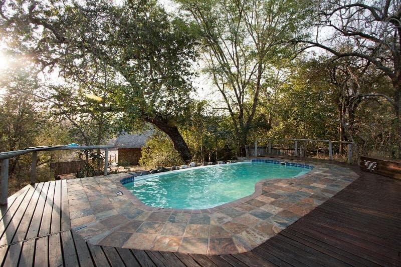 Rhino Post Safari Lodge photo 1