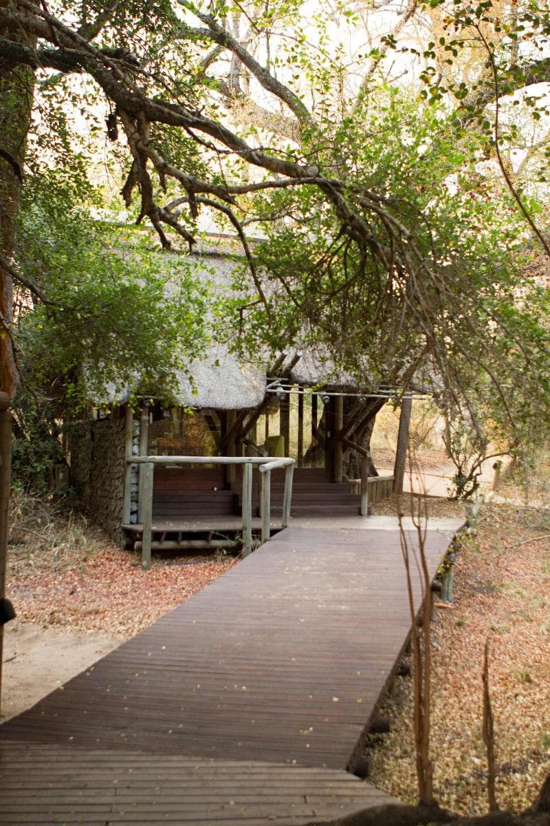 Rhino Post Safari Lodge 5