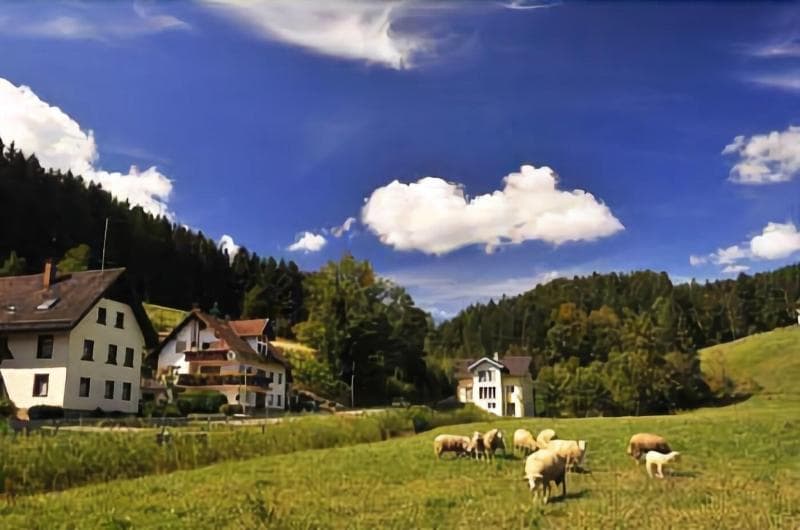 Gasthof Hirschen-Dorfmühle main