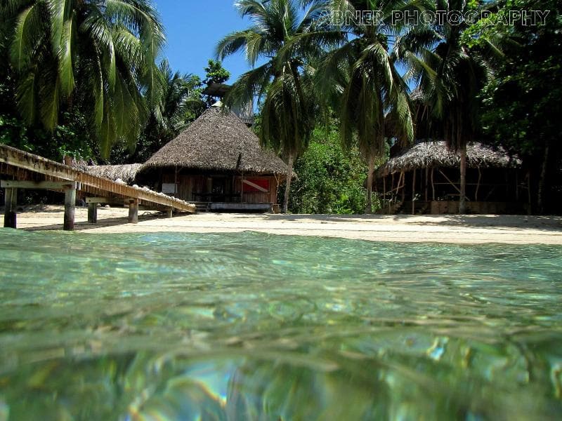 Al Natural Resort photo 1