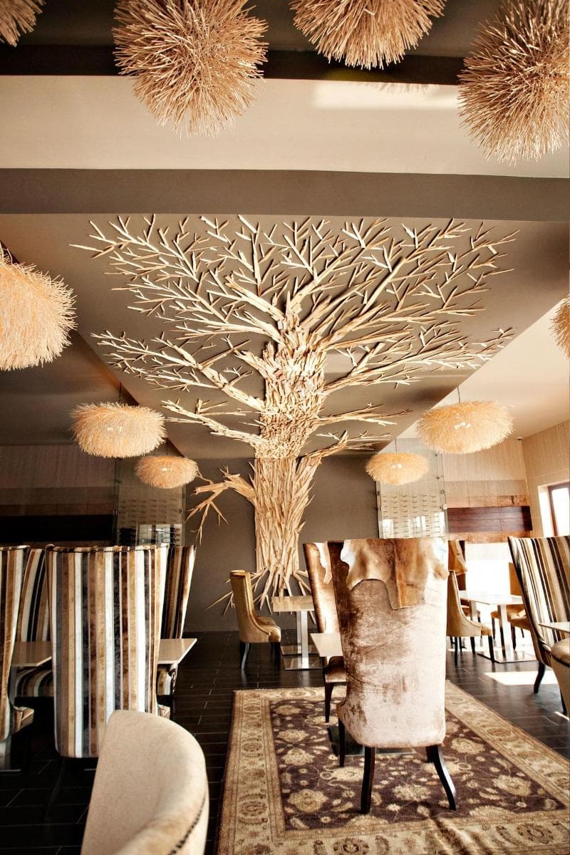Palala Boutique Game Lodge & Spa 4