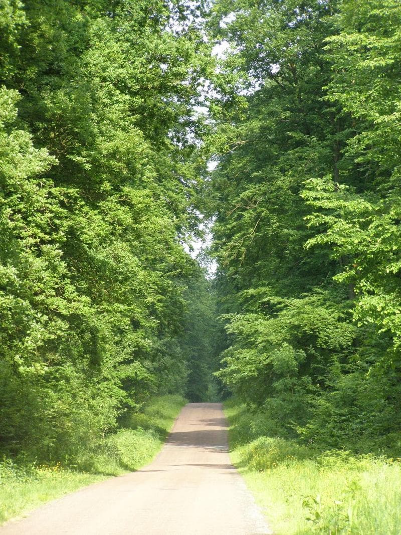 Manoir Du Plessis Au Bois 5