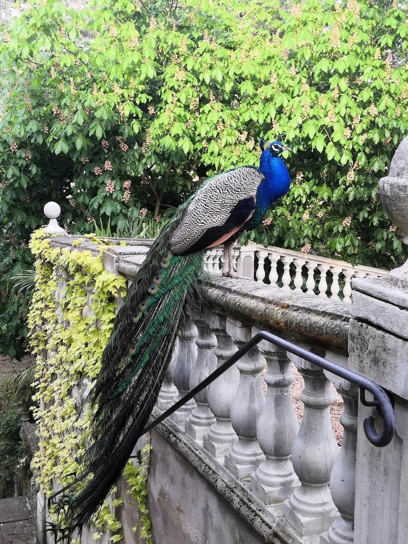Le Manoir photo 1