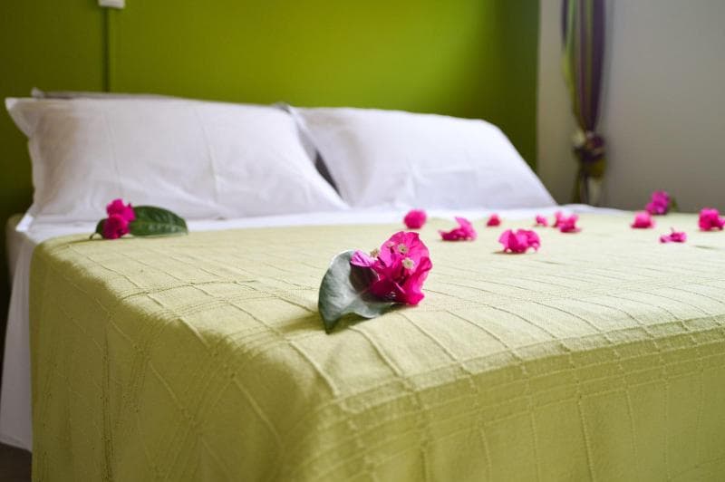 Hotel Tante Arlette 5