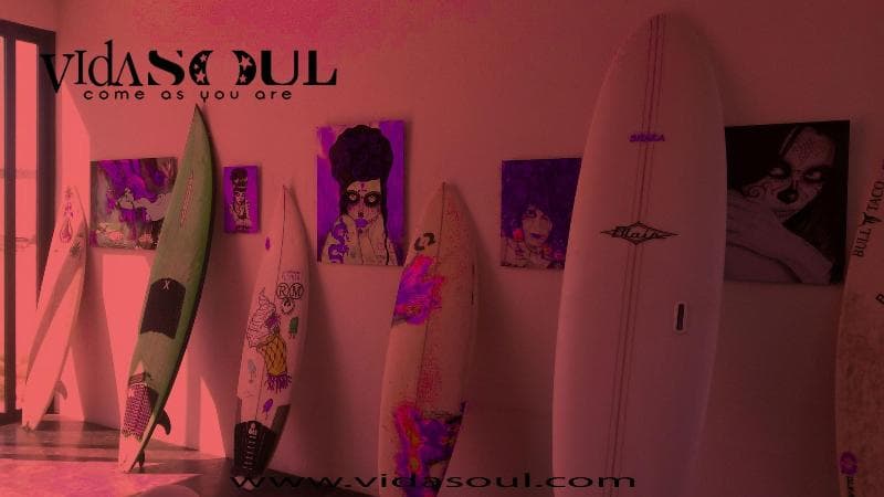 Vidasoul Hotel photo 1