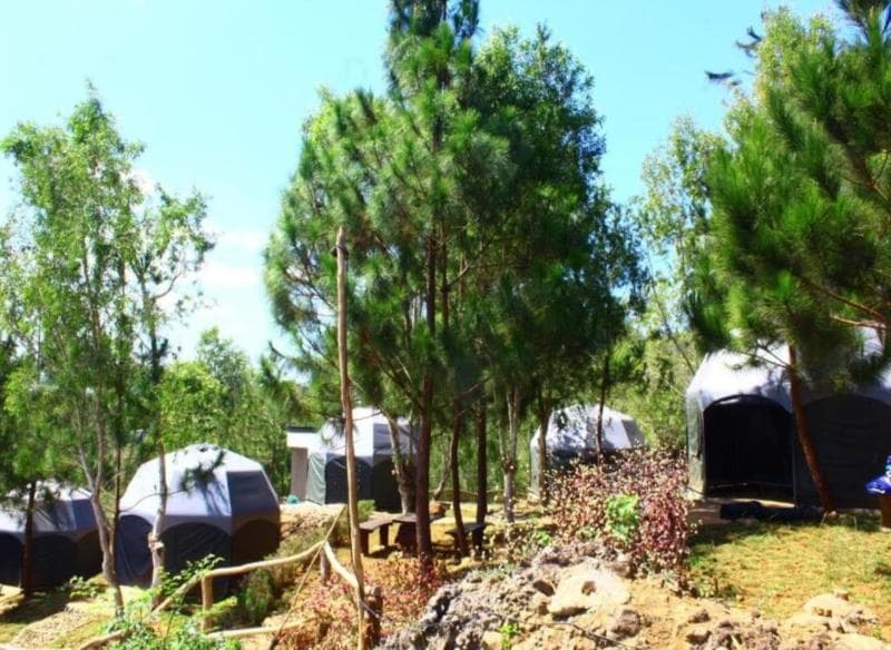 Bukit Lintang Sewu Glamping 3