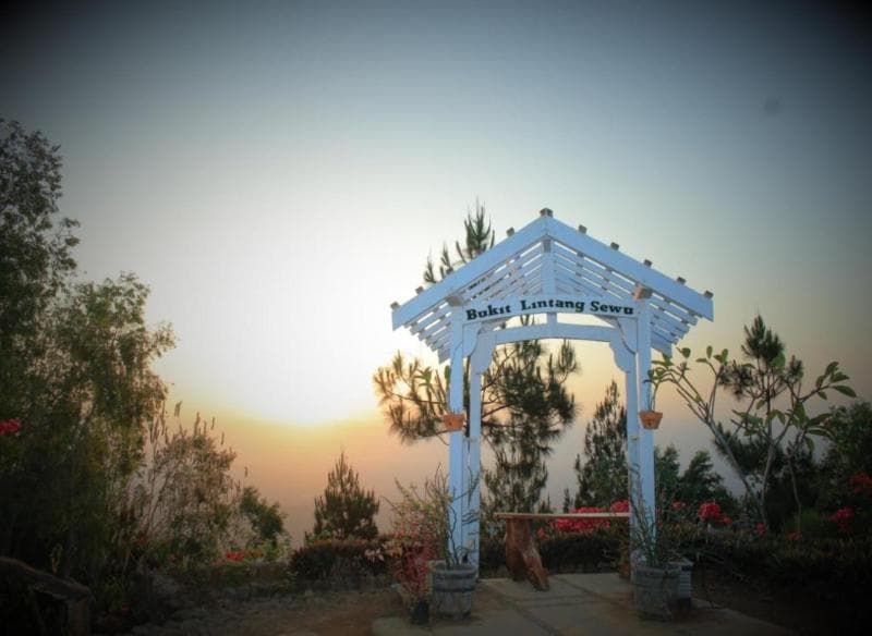 Bukit Lintang Sewu Glamping 4