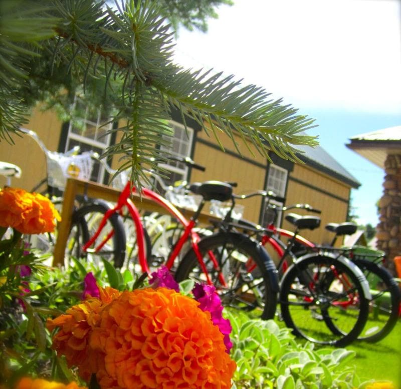 Compass Rose Lodge photo 1