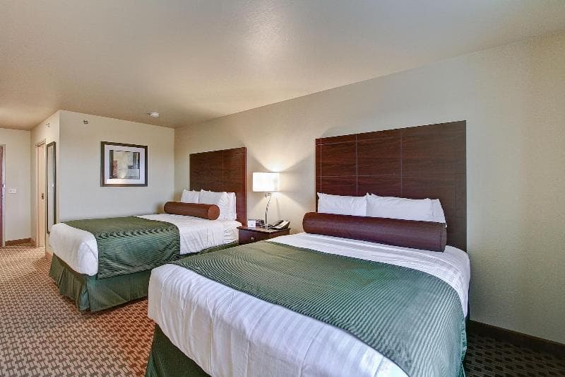 Cobblestone Hotel & Suites - Pulaski 5