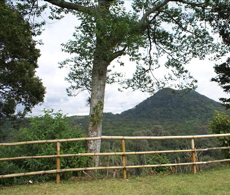 Finca Santa Rosa 5