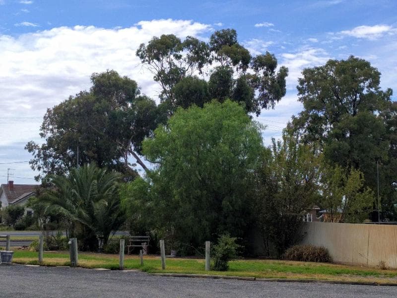 Travellers Inn Kaniva main