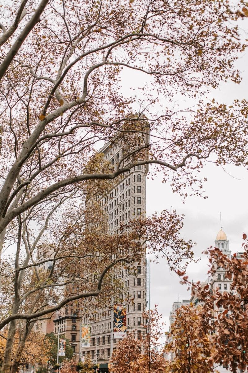 Hyatt Place New York / Chelsea 5