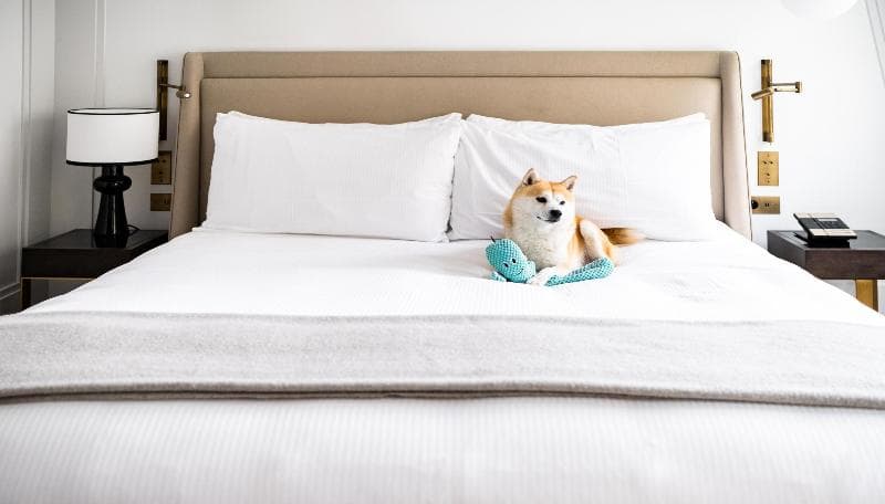 Kimpton St Honore Paris, An Ihg Hotel 4