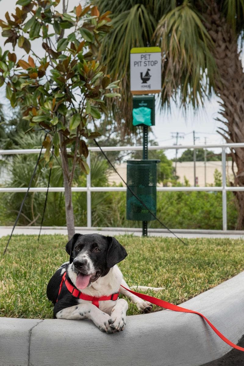 Home2 Suites by Hilton Tampa Westshore Airport 4