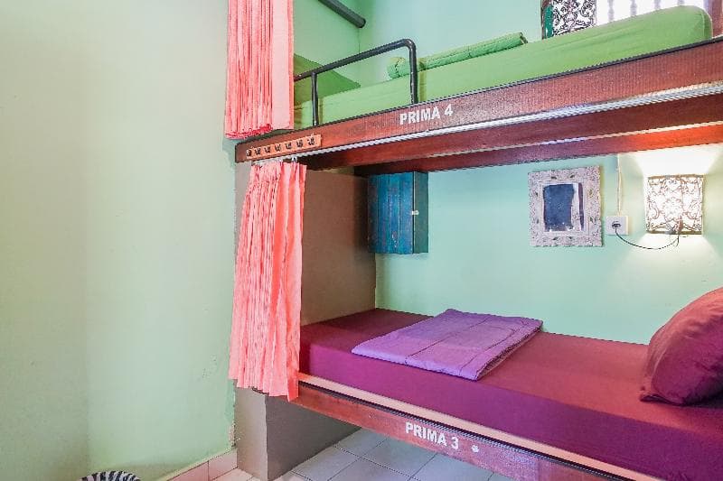 Padi-Padi Backpackers Home (Adults Only) 4