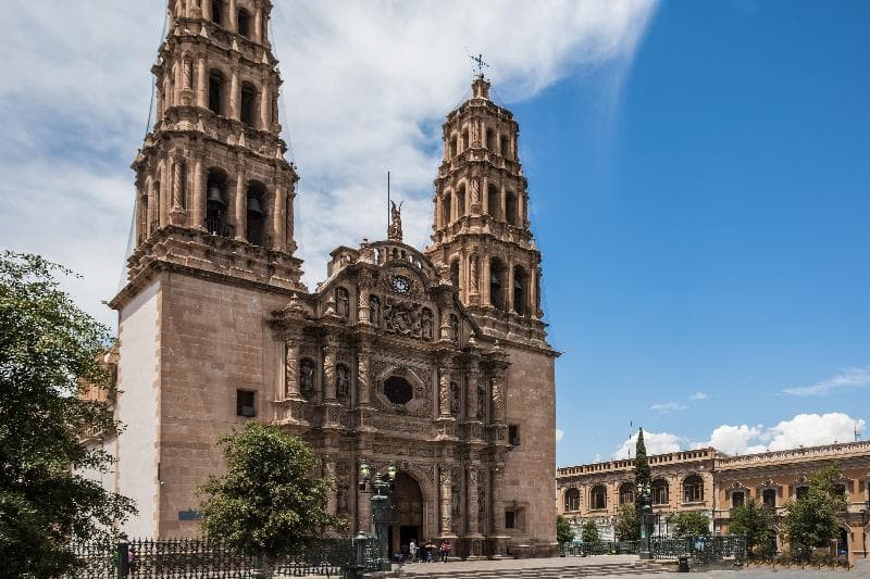 One Chihuahua Norte 2