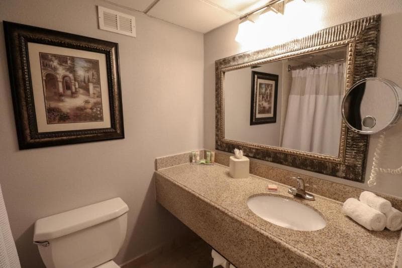 Wingate Houston near NRG Park/Medical Center 5