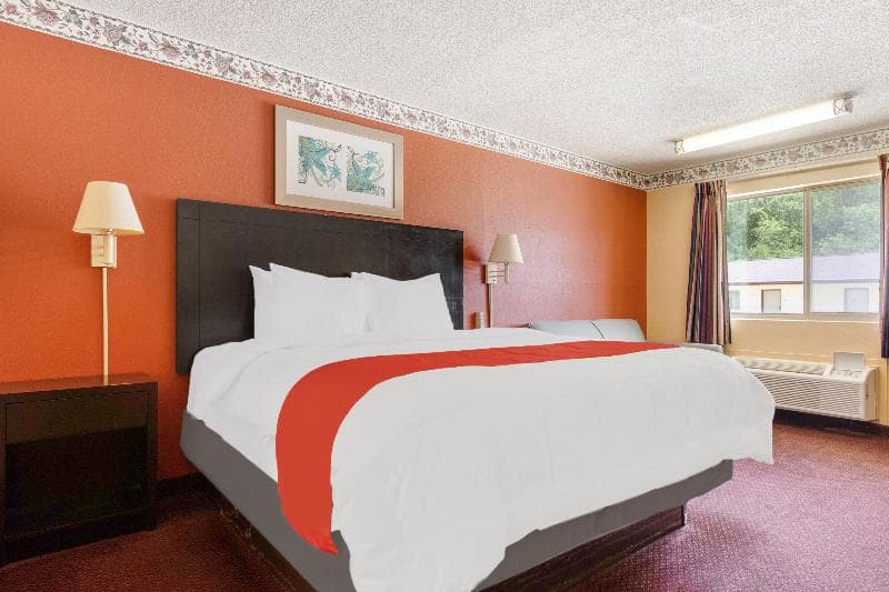Freer Executive Inn And Studios By Oyo 4
