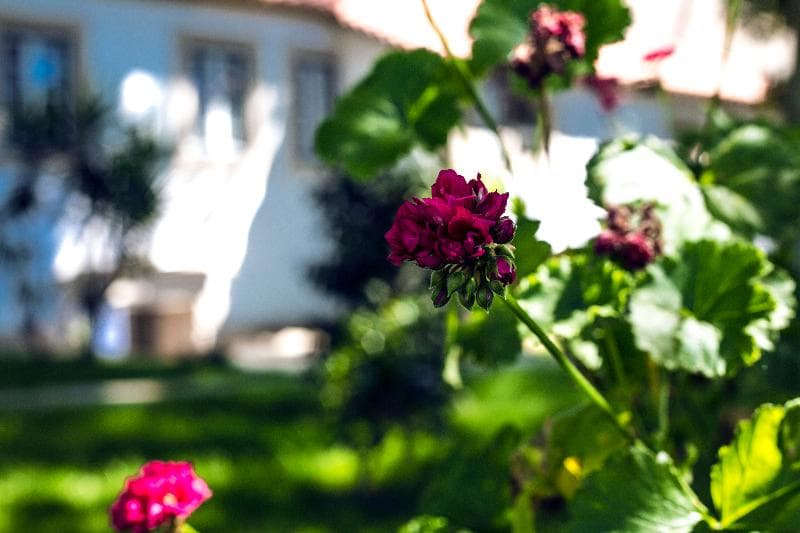 Lavandeira Douro Nature & Wellness 2