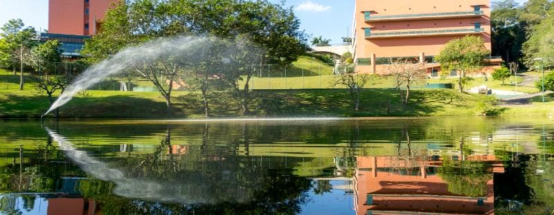 Tapestry Almenat By Hilton 5