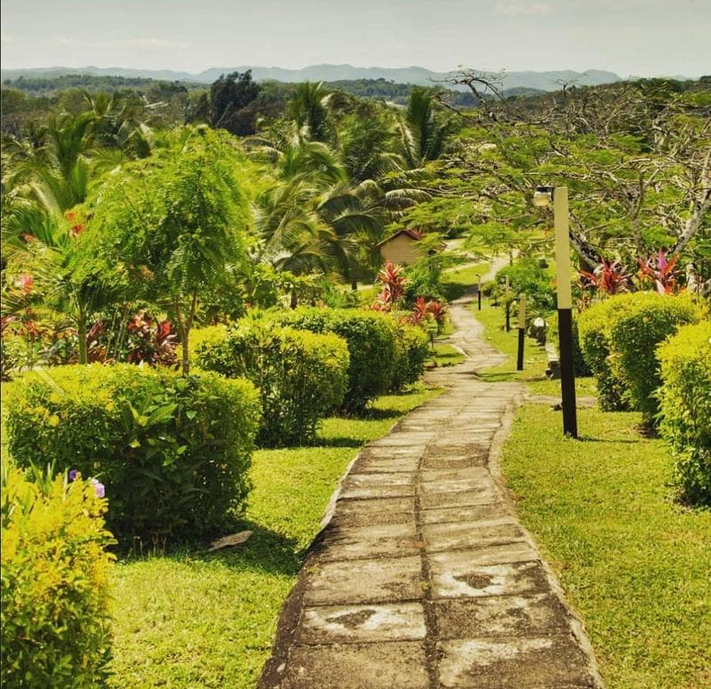 Cassia Hill Resort 5