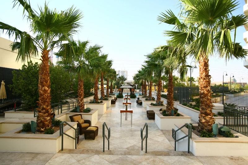 Luxury Suites International At The Signature 2