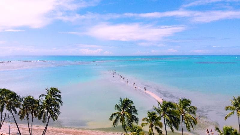 Verano Pajucara By Tropicalis 5