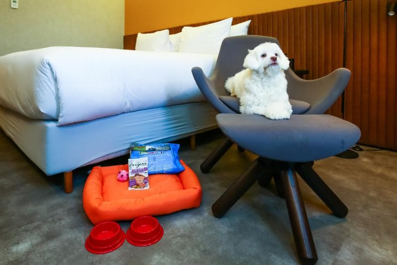 Hilton Garden Inn Reboucas 3