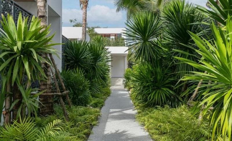 Meliá Phuket Mai Khao 5
