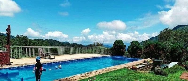 Wild Elephant Eco-Friendly Resort photo 1