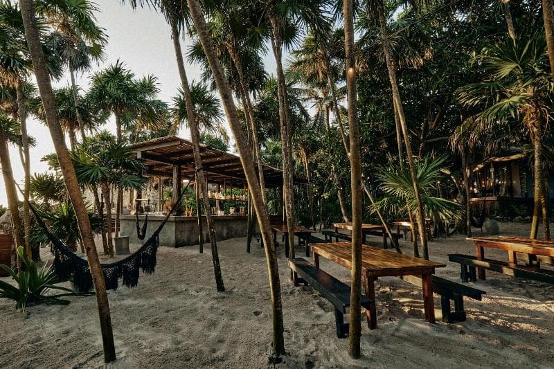 Our Habitas Tulum - Adults Only photo 1