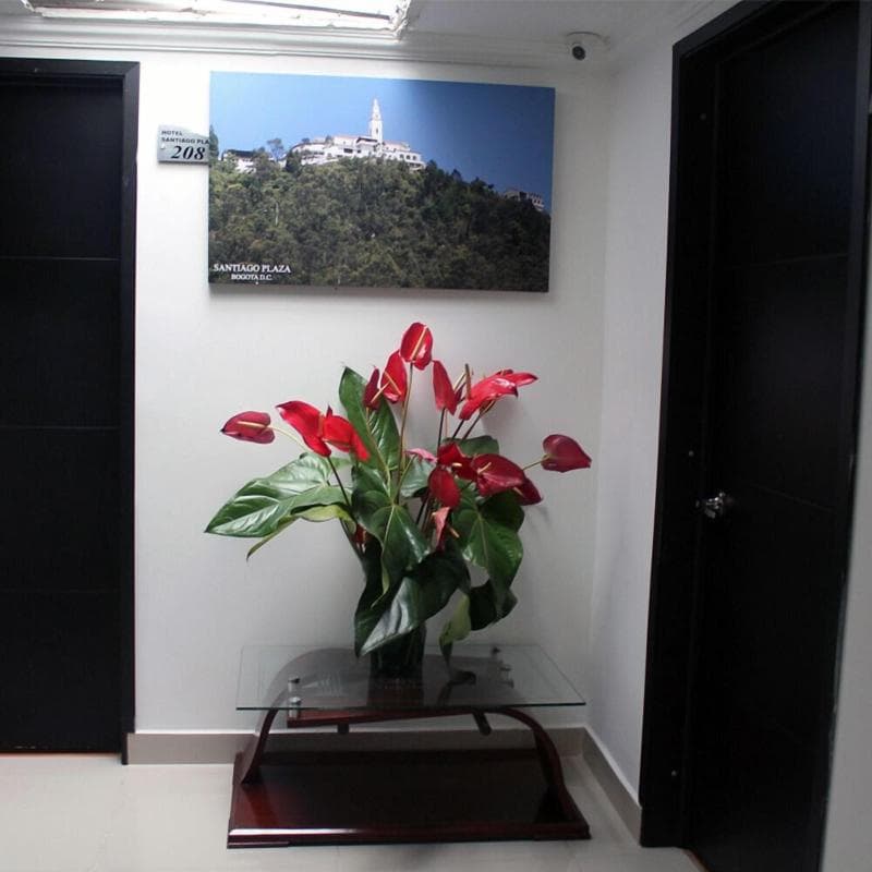 Hotel Santiago Plaza 5