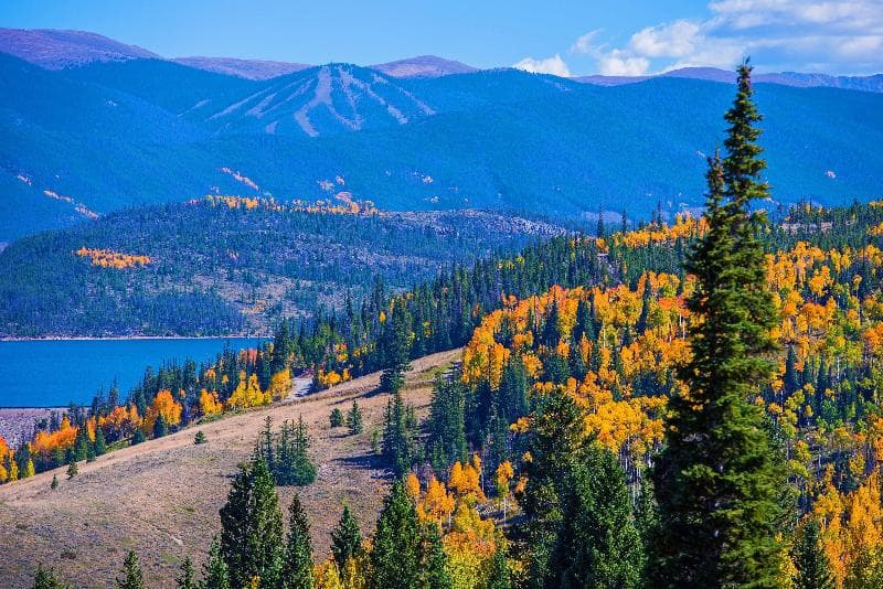 Indigo Silverthorne photo 1