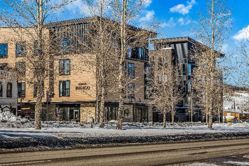 Indigo Silverthorne 3