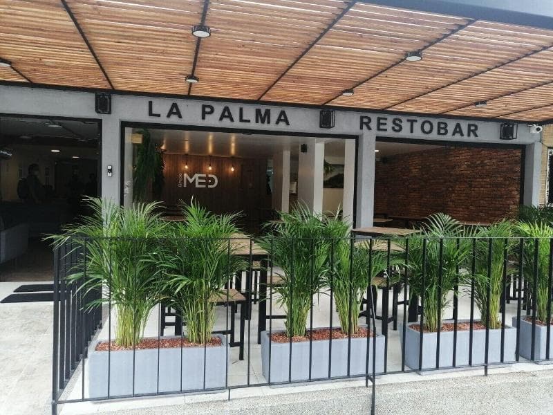 Hotel Med La Palma 5