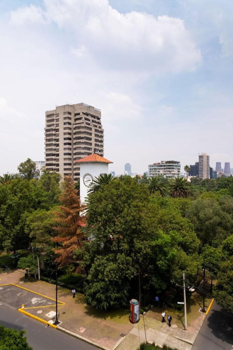 Lincoln Square Polanco 2