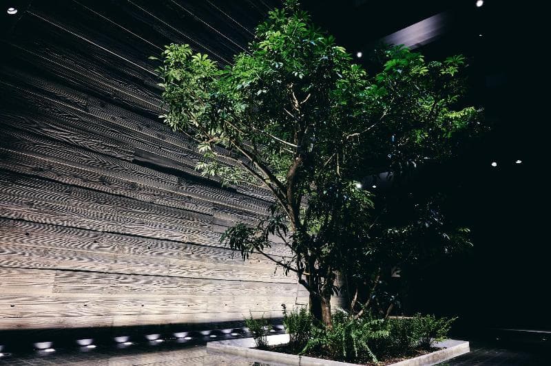 Nol Kyoto Sanjo 4
