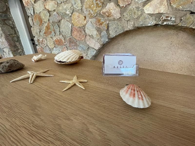 Aelia Luxury Suites 2