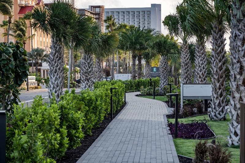 Embassy Suites by Hilton Aruba Resort 4
