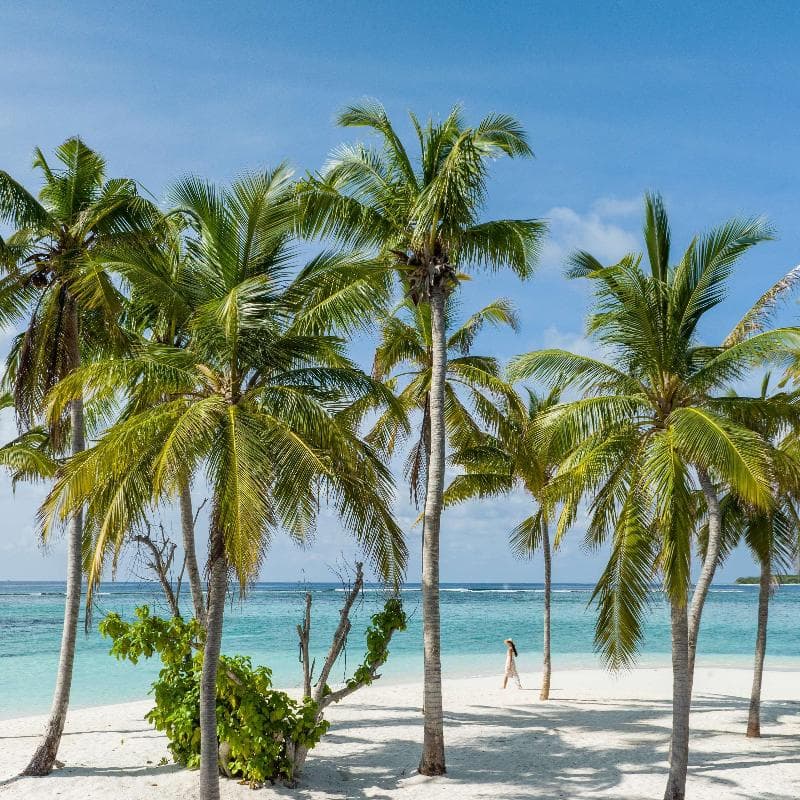 Alila Kothaifaru Maldives 5