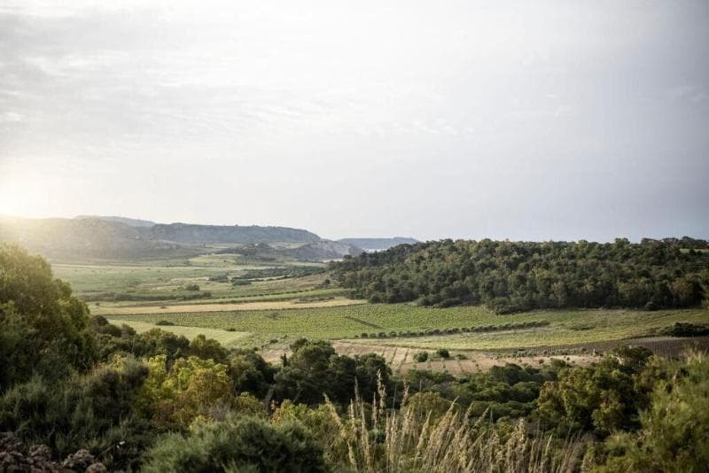 Adler Spa Resort Sicilia (Adults Only) photo 1